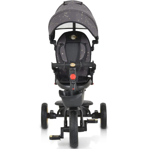 Tricicleta pentru copii 2 in 1 Moni Orion Grey cumpăra în Chișinau
