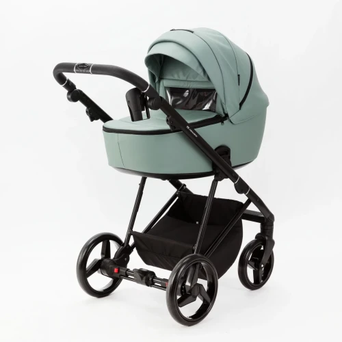 Коляска 2/1 Adamex Blanc Deluxe Green купить в Кишиневе