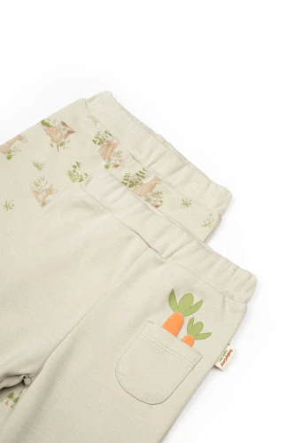 Pantaloni BabyCosy Rabbit Soft Green, 2 buc. (18-24L) cumpăra în Chișinau
