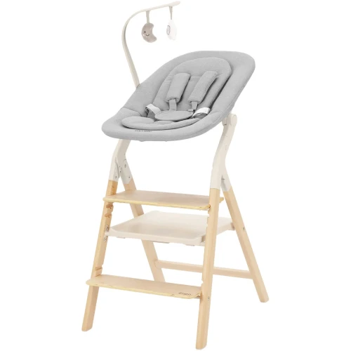 Стул для кормления 4 в 1 Carrello Ergo Carbon Grey купить в Кишиневе