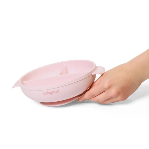 Тарелка с присоской и крышкой BabyOno Pink, 17×21 см купить в Кишиневе