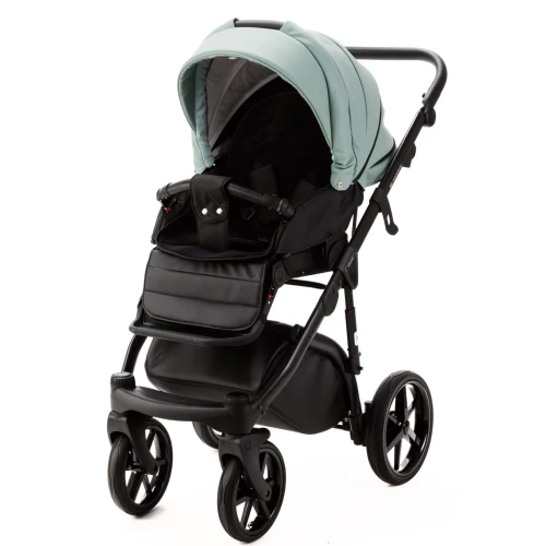 Коляска 2/1 Adamex Nola Deluxe Mint Black купить в Кишиневе