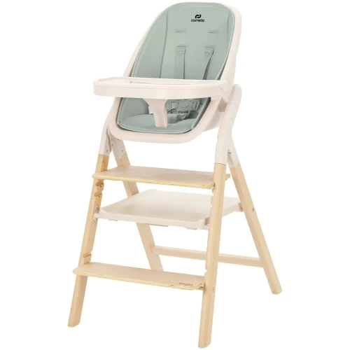 Стульчик для кормления 4 в 1 Carrello Ergo Elora Green купить в Кишиневе