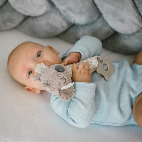 Погремушкa BabyOno Koala Coco купить в Кишиневе