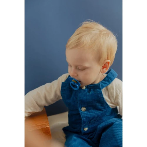 Пустышка круглая латексная Bibs Colour Cornflower 6-18 мес купить в Кишиневе