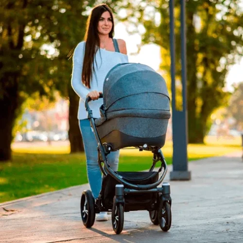 Коляска 2 в 1 Bebetto Holland W45 White Gray купить в Кишиневе