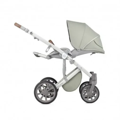 Carucior 2 in 1 Anex M-type Minty cumpăra în Chișinau