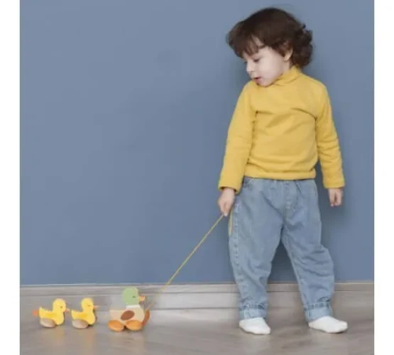 Деревянная игрушка-каталка Classic World Уточки купить в Кишиневе