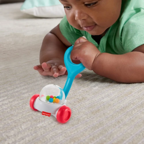 Погремушка Fisher-Price Набор, 2 штуки купить в Кишиневе