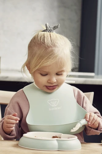 Слюнявчик из силикона BabyBjorn powder Green/Pink, 2 шт купить в Кишиневе