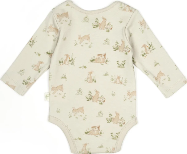 Body cu mâneca lungă BabyCosy Rabbit 2 Ecru & Soft Green, 2 buc. (6-9L) cumpăra în Chișinau