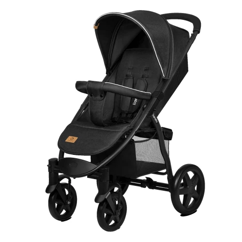 Прогулочная коляска Lionelo Annet Plus Black Carbon (ENG) купить в Кишиневе