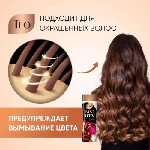 Șampon-balsam Teo 2in1 Beauty Nature Argan Oil & Color Protect, 350 ml cumpăra în Chișinau