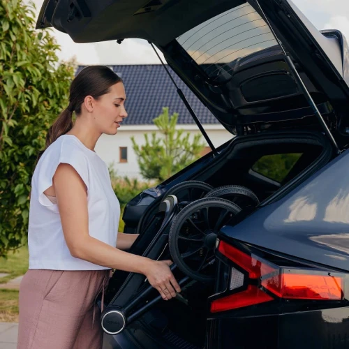 Коляска 2 в 1 Lionelo Mika Plus Brown Rust купить в Кишиневе