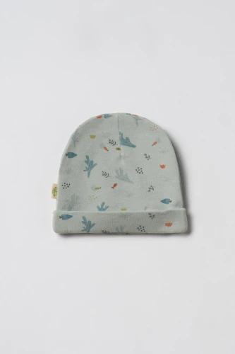 Căciulă BabyCosy Green & Beige, 3 buc. cumpăra în Chișinau