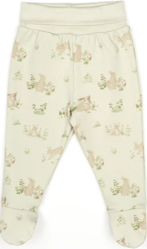 Комплект из 3 штук BabyCosy 2 Rabbit Ecru & Soft Green (1-3М) купить в Кишиневе