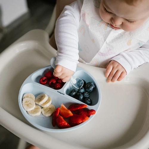 Farfurie divizata Babyono albastru cumpăra în Chișinau