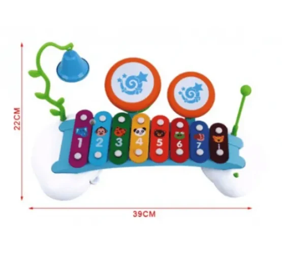 Jucarie muzicala Hola Toys "Xilofon" cumpăra în Chișinau