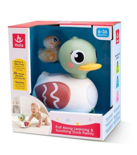 Jucărie interactivă Hola Toys Pull Along Learning & Soothing Duck Family cumpăra în Chișinau