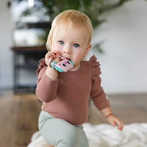 Погремушкa BabyOno Owl купить в Кишиневе