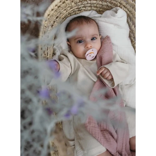 Пустышка круглая латексная Bibs Colour Blossom, 6-18 мес купить в Кишиневе