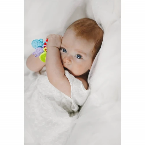 Игрушка для прорезывания зубов BabyJem Rattle Teether Фиолетовая купить в Кишиневе