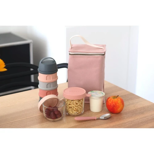 Geanta izoterma Beaba Dusty Rose cumpăra în Chișinau