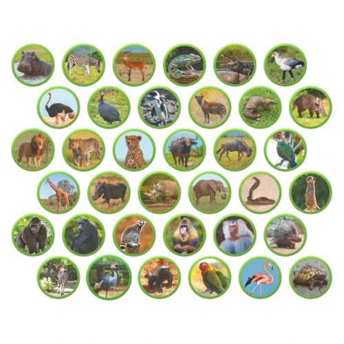 Set de creație Dodo Joc magnetic Animalele Africii, 36 elemente cumpăra în Chișinau