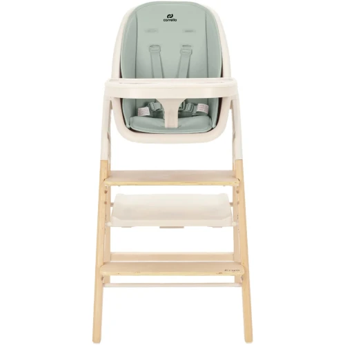 Стульчик для кормления 4 в 1 Carrello Ergo Elora Green купить в Кишиневе
