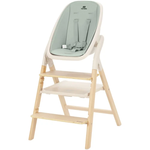 Стульчик для кормления 4 в 1 Carrello Ergo Elora Green купить в Кишиневе