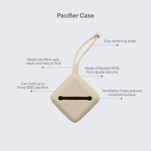 Контейнер для пустышек Bibs Pumpkin купить в Кишиневе