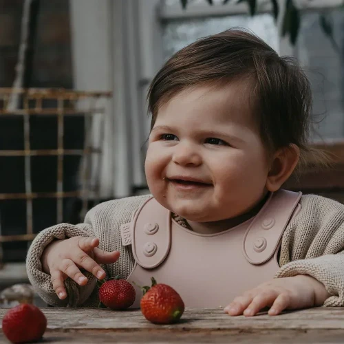 Baveta din polimer Bibs Bib Blush cumpăra în Chișinau