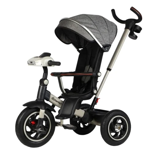 Tricicleta pentru copii Epid 3 in 1 Bebe Joy Black cumpăra în Chișinau