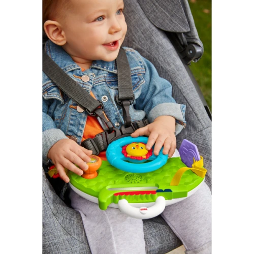 Интерактивная игрушка Fisher-Price Руль Лев купить в Кишиневе