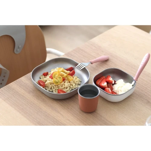 Набор мисок Beaba Inox Terracotta, 3 шт. купить в Кишиневе