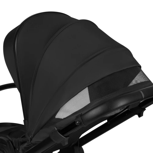 Коляска 2 в 1 Lionelo Layla Black Onyx купить в Кишиневе