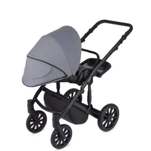 Carucior 2 in 1 Anex M-type Iron cumpăra în Chișinau