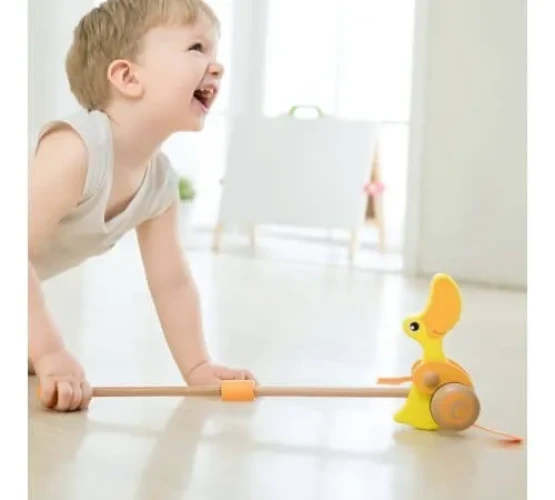 Jucarie de impins din lemn Classic World Rață cumpăra în Chișinau