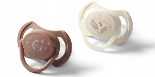 Пустышка симметричная из силикона BabyOno Night & Day Brown & White (18+ мес.), 2 шт. купить в Кишиневе. Фото 1