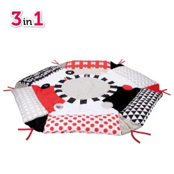 Covoraș pentru copii Canpol Sensory Toys cumpăra în Chișinau. Foto 4