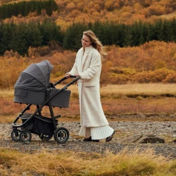Carucior 3 in 1 Lionelo Amber Plus Beige Sand cumpăra în Chișinau. Foto 27