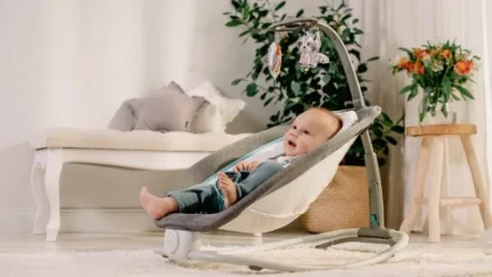 Детское кресло-качалка Lionelo Pascal Dove Grey купить в Кишиневе. Фото 9
