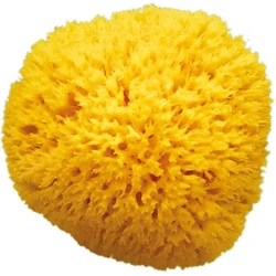 Детская губка для купание Ok Baby Natural Sea Sponge Nr10 купить в Кишиневе. Фото 3