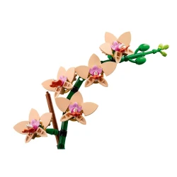 Set construcție Lego Botanicals Mini Orchid, 274 elemente cumpăra în Chișinau. Foto 3
