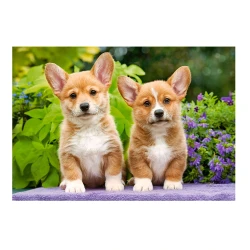 Пазл Castorland Welsh Corgi Puppies, 1000 элементов купить в Кишиневе. Фото 2
