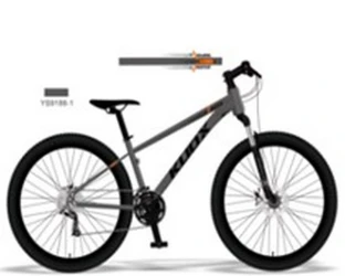 Bicicleta Epid Kuox Grey & Black, roți 24 cumpăra în Chișinau. Foto 1