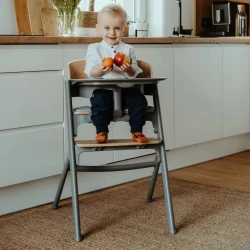 Scaun pentru hranire 4 in 1 KinderKraft Livy and Calmee Grey Wood cumpăra în Chișinau. Foto 12