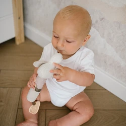 Jucărie zornăitoare Babyono Goose Zoe cu inel de dentiție cumpăra în Chișinau. Foto 3