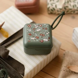 Многофункциональный контейнер для пустышек Bibs Liberty Chamomile Lawn Pine купить в Кишиневе. Фото 2