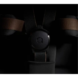 Carucior 2/1 Anex Flo Lungo cumpăra în Chișinau. Foto 11